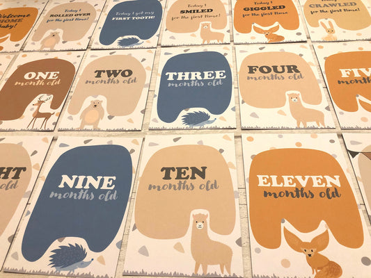New Baby Keepsake Milestone Cards for Baby Shower Gift