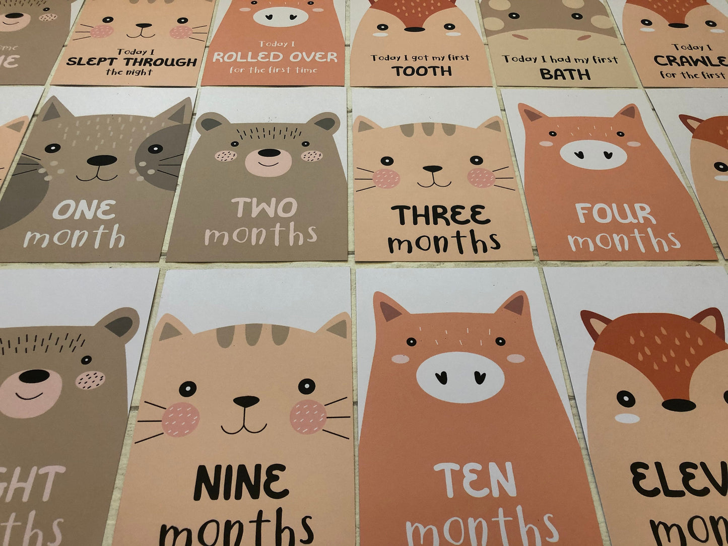 Unisex Animal Baby Milestone and Journey Cards for New Parents