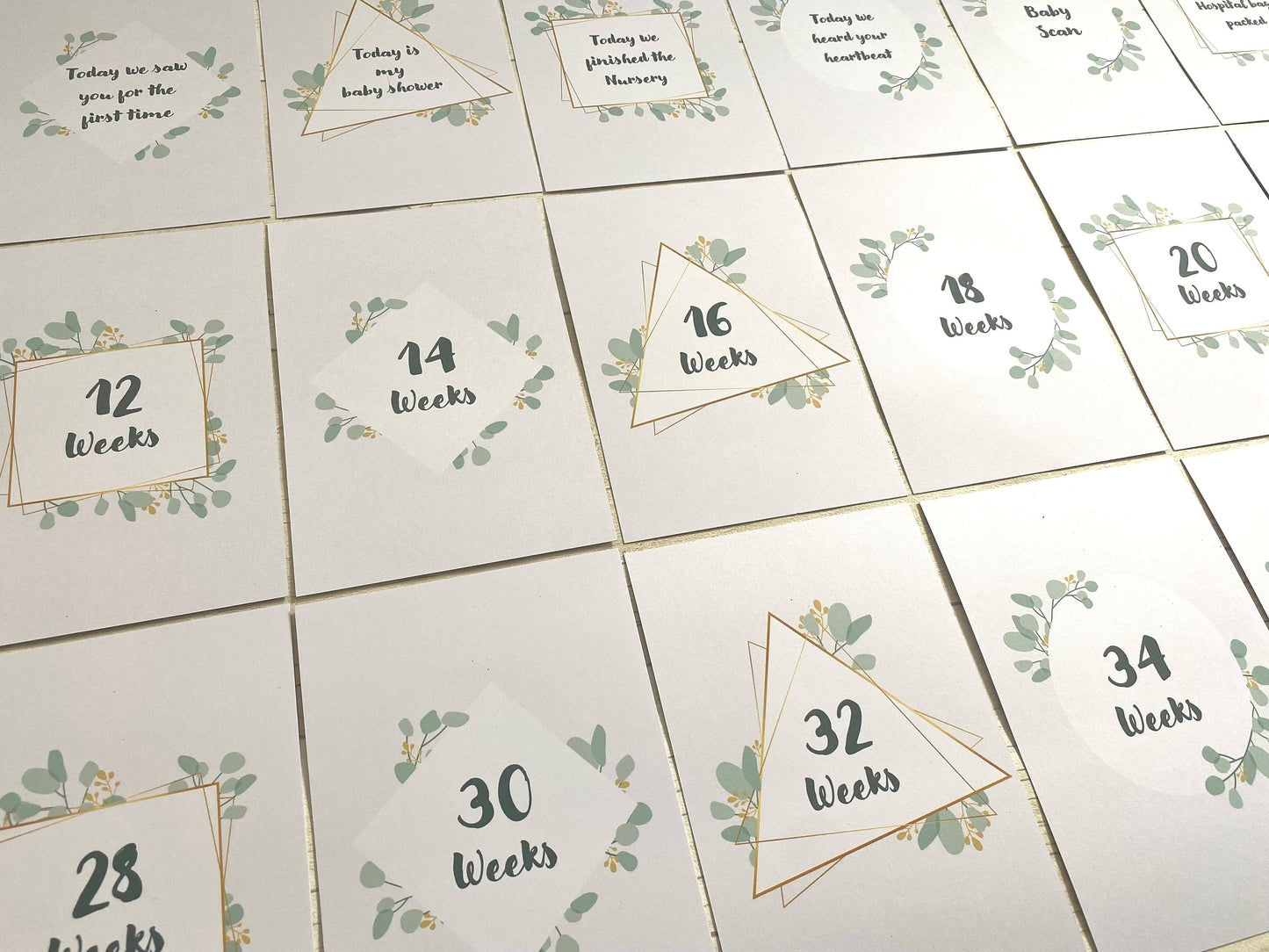 Pregnancy Milestone Cards | Pregnancy Gift | Mum to be gift |Milestone cards | Pregnancy Announcement | Botanical
