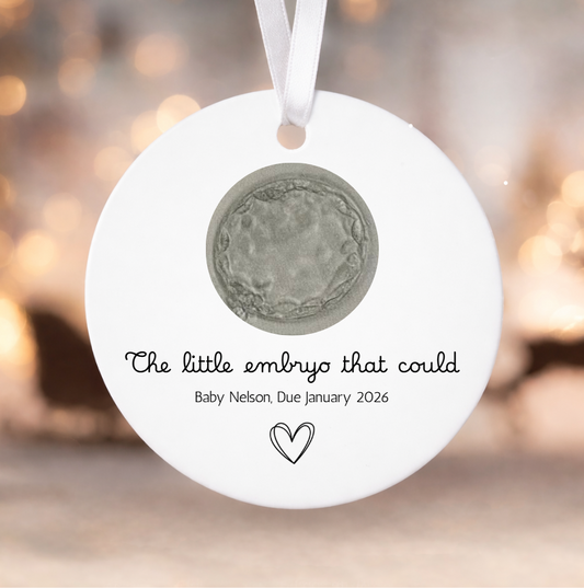 IVF Embryo Keepsake Gift - Fertility Journey Pregnancy Announcement Nursery Decor